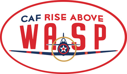 RISE ABOVE WASP patch
